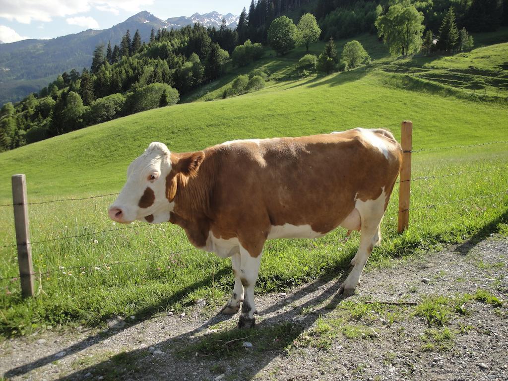 Brandebengut Villa Bad Hofgastein Eksteriør billede